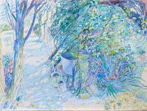 06 David Barron Summer Garden coloured pencil