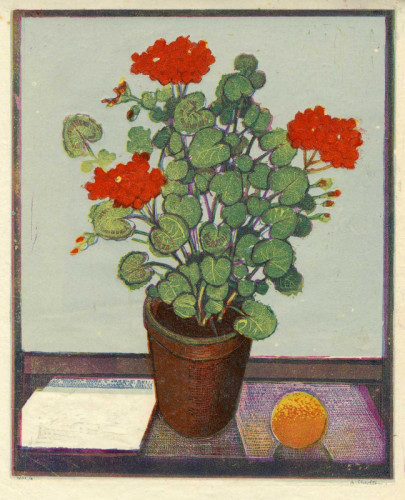 12 Arthur Charlton Geraniums lithograph 28 x 23cms