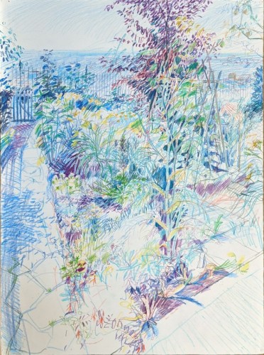 19 David Barron Promenade Garden coloured pencil 77x57cm