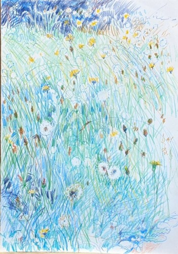 26 David Barron Lawn coloured pencil 2021 29x42cm