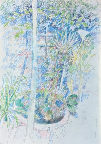 29 David Barron Waterlilies and Trellis coloured pencil 60x42