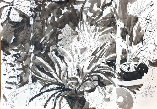 32 David Barron Backyard Plants 41x60cm