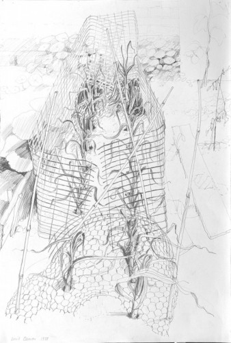 61 David Barron Leeks Under Netting 100 x 69cms 