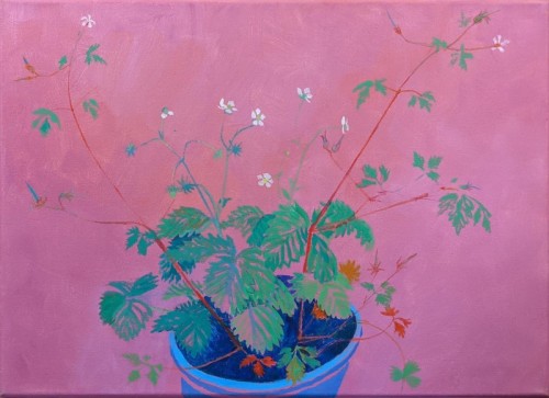 74 David Barron Weeds acrylic on canvas 37x50cms