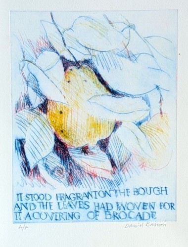 83 David Barron Quince: 'It stood fragrant on the bough' drypoint 28x22cms