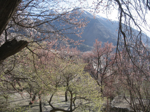 A. High in the Karakoram Mountains.