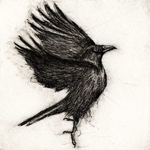 Aimee Jones_Presence XII_Drypoint003