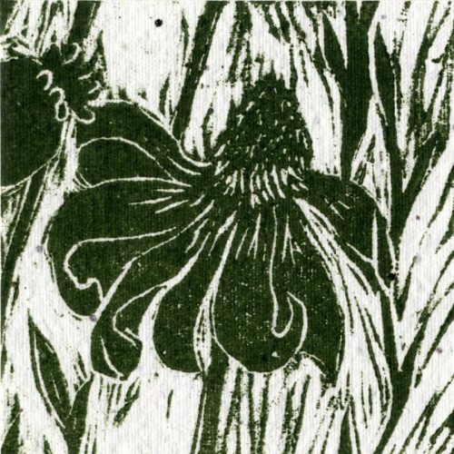 Aimee Rayner_Wildflowers_Woodcut004