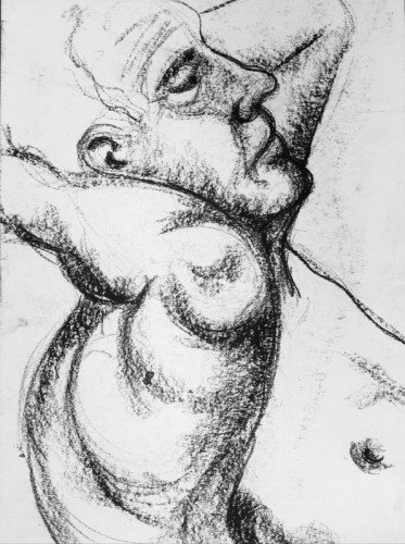 Alan Williams Relax Charcoal 60 x 42 cm