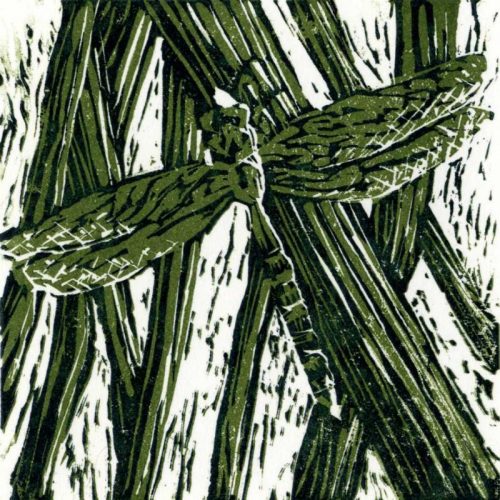 Alison shaw_Look Closely_Linocut009