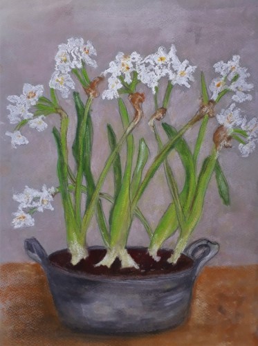 Anne Gullick | Narcissi Blossoming in lockdown 6 | 