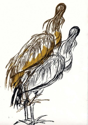 Anne Gullick A bad hair day screenprint 50 x 36cms