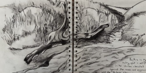 Anne Gullick | Log adrift on Broughton Bay | charcoal
