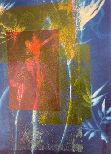 Anne Gullick - Monotype (with cyanotype) I