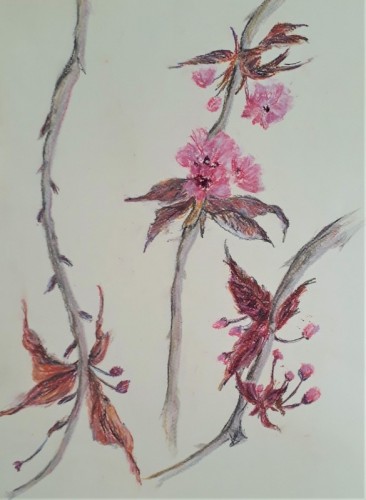 Anne Gullick | Prunus Blossoming in lockdown | pastel
