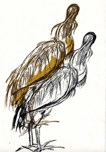 Anne Gullick ‘A bad hair day’ Screen print 50 x 36cms £100.00