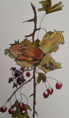 Anne Gullick | Hedgerow | watercolour.