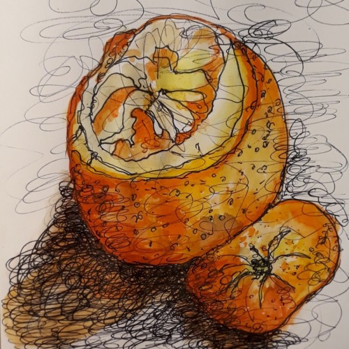 Anne Gullick | Marmalade time 1 |  ink and watercolour.