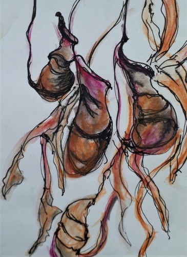 Anne Gullick | Plantasia 3 | Seedhead 