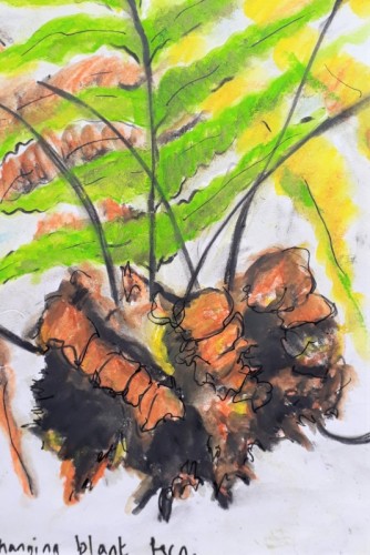 Anne Gullick | Plantasia sketches 4