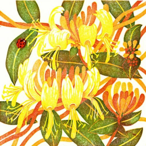 Beth Knight_Gwyddfid-Honeysuckle_Linocut019