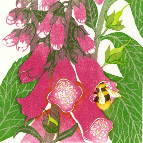 Beth Knight_Maneg Ellyllyn-Foxgloves_Linocut020