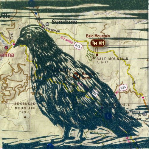 Bill Chambers_Pigeon on Map of Boulder_Linocut with Chine Colle021