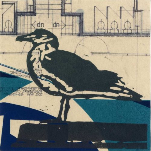 Bill Chambers_Seagull on Blueprint_Linocut with Chine Colle022