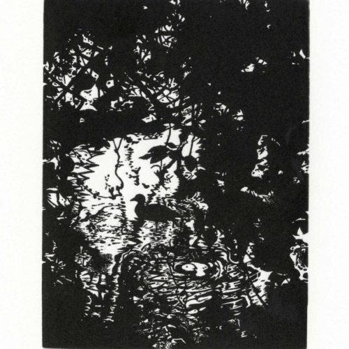 Blaze Cyan_The Mallard at Fonthill_Wood Engraving025