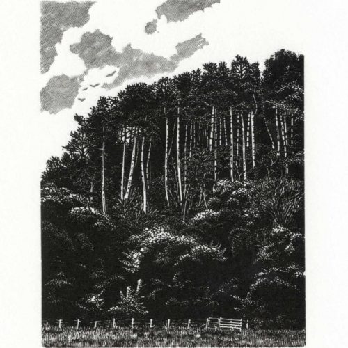 Blaze Cyan_Worsell Wood II_Wood Engraving026