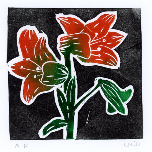 Celyn Maine Hill_Welsh Roots_Vinyl Multi Block