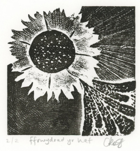 Ceri Roberts_Ffrwydrad yr haf_Collagraph