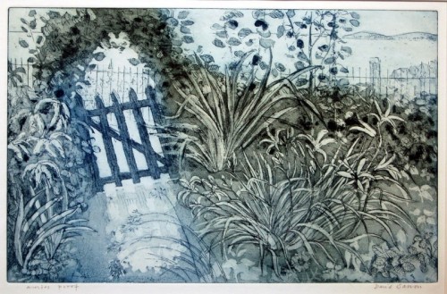David Barron | In the Garden daylilies | aquatint 300 x470mm