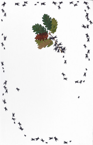 DIPTYCH March Screenprint and hand-stamping with ink on Somerset Satin paper 50 x 73cm £490