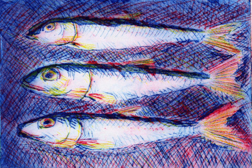 David Barron  Sardines Drypoint  19 x 29cm £100 