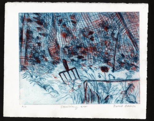 David Barron | Strawberry Net | drypoint