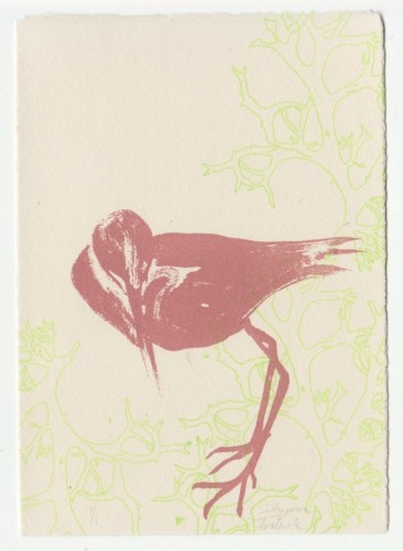 Dhyana Fritsche Postcard III screenprint 15 x 11cm