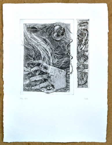 Elissa Evans | etching and soft ground