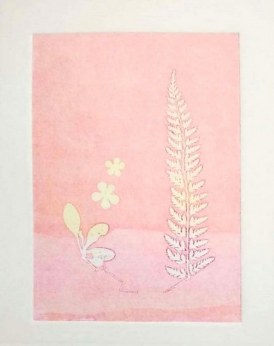 Felicity Williams Monotype II