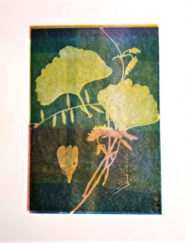 Felicity Williams -Monotype III