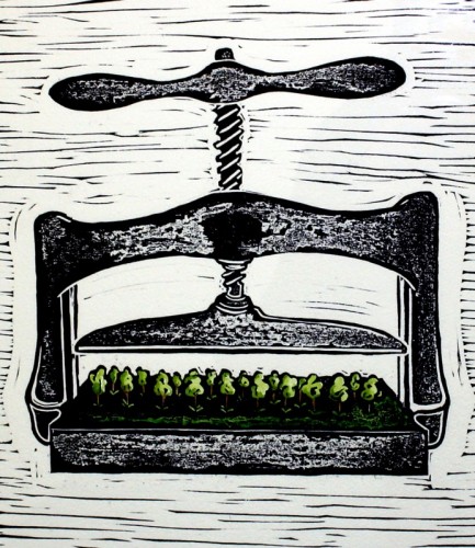 Fiona Kelly | Book Press 2010 | relief print