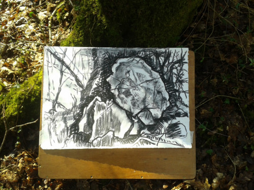 D. Twlc y Filiast in Carmarthenshire.