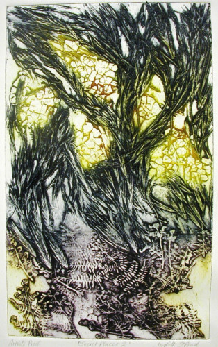 Judith Stroud Secret Places collagraph £30.00