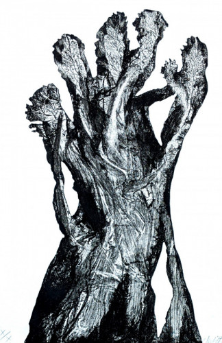 Judith Stroud | etching and soft ground -001