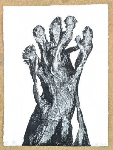 Judith Stroud | etching and soft ground