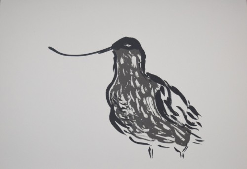 Kara Seaman Recurvirostra Avosetta Screenprint 51 x35
