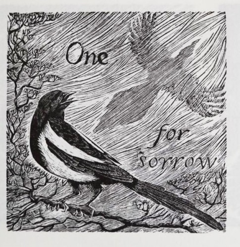 Kath Littler Magpie 1 woodengraving
