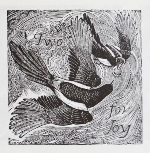 Kath Littler Magpie 2 woodengraving