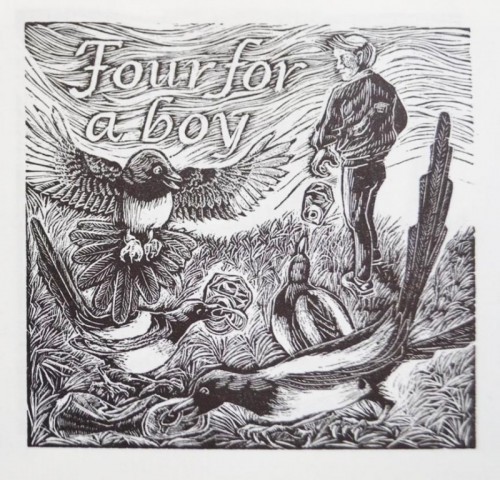 Kath Littler Magpie 4