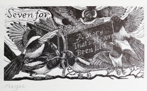 Kath Littler Magpie 7